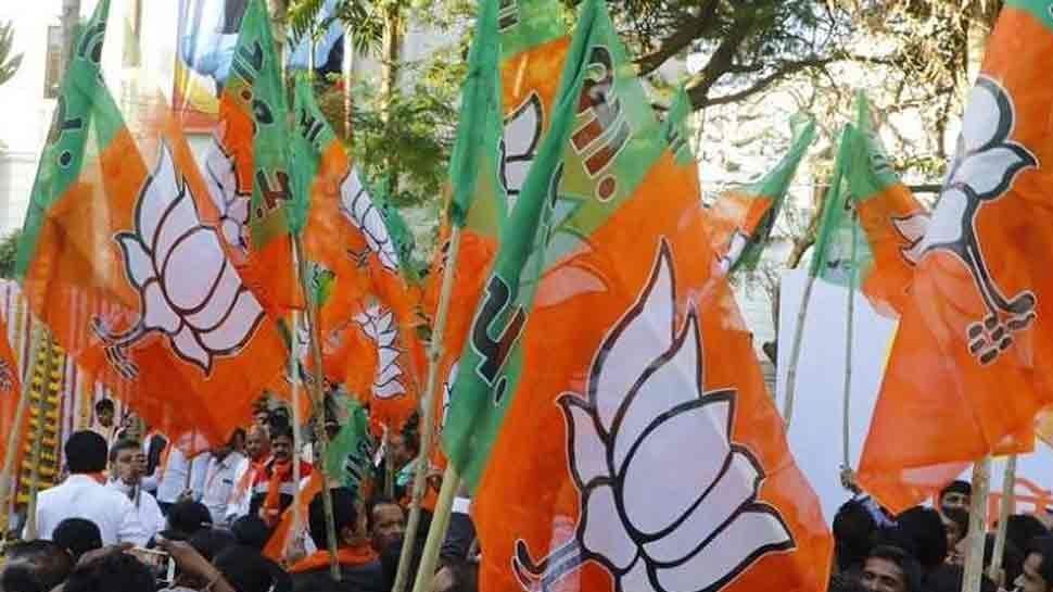 पूरे देश में 'मोदी लहर', लेकिन इस राज्य में पलड़ा भारी नहीं कर पाई बीजेपी, जानिए किसने मारी बाजी