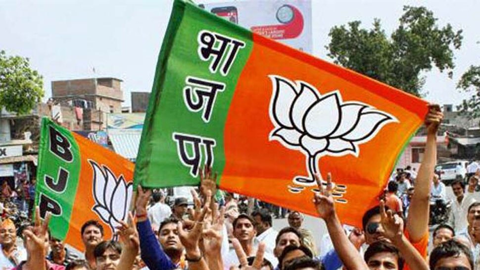 Lok Sabha result 2019: सुनहरे भविष्य के लालच में बदला दल, लेकिन किस्मत ने भी उनका नहीं दिया साथ