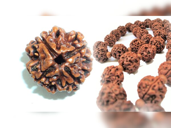 Know about the importance of Rudraksha in Hindu Sanskriti । जानें, शरीर ...