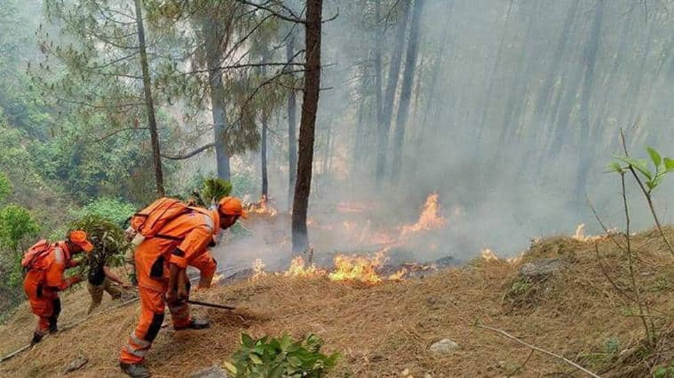 पिछले 1 महीने से जल रहे हैं उत्तराखंड के जंगल, सरकार के पास राहत का कोई प्लान नहीं