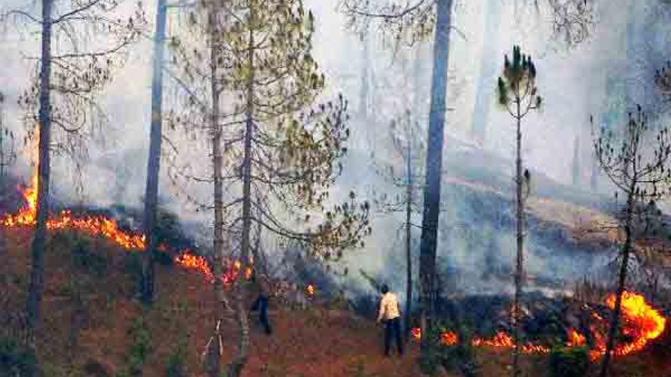 fire in uttrakhand forest | पहाड़ में आग की लपटों में धधक रहे हैं 100 से ज्यादा जंगल, छुट्टियां बना रहे हैं वन विभाग के अफसर | Hindi News, यूपी एवं उत्‍तराखंड