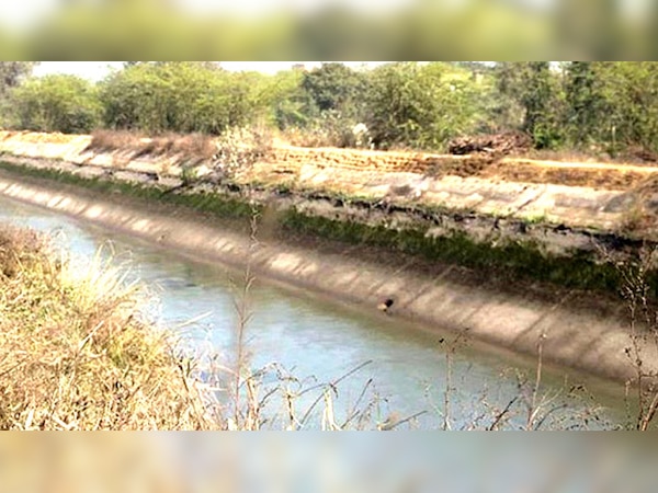 घटना की जांच के लिए नर्मदा प्राधिकरण मुख्यालय से एक जांच टीम तत्काल घटना स्थल के लिए रवाना कर दी है. (फाइल फोटो)