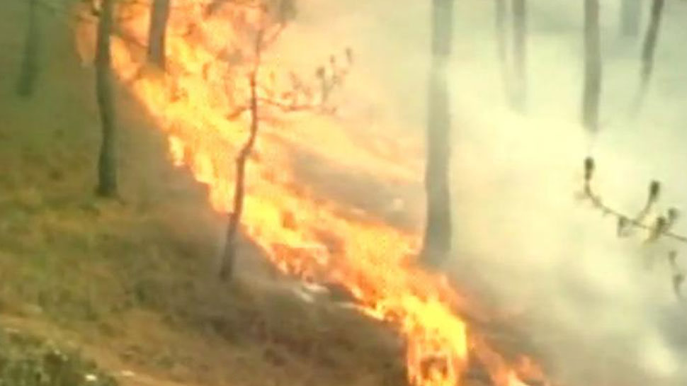 उत्तराखंड के जंगलों में आग, टिहरी में कई हेक्टेयर वन जलकर राख