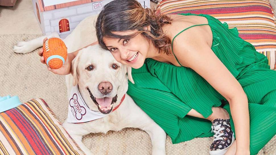 जेनिफर 'झलक दिखला जा' शो होस्ट करती नजर आएंगींं tv actress Jennifer Winget on her birthday