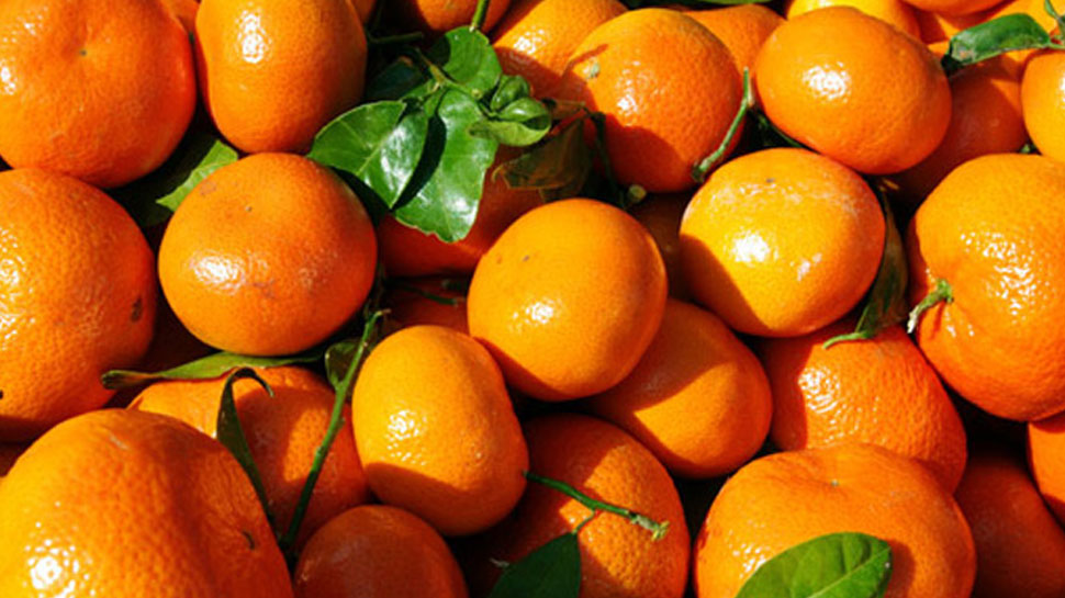 संतरा Orange