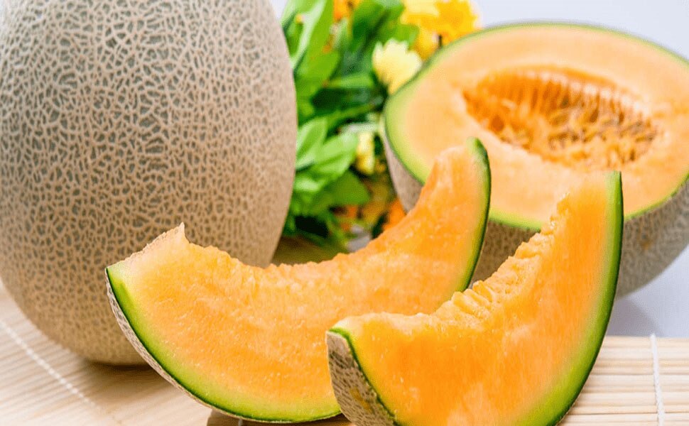 सेहत के लिए रसीला खरबूजा Lush melon for health