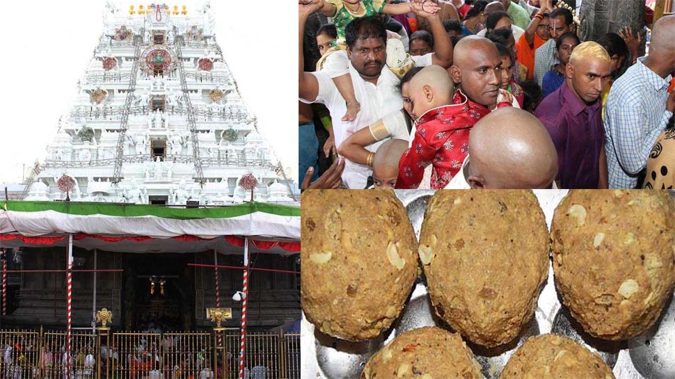 देश का सबसे धनी मंदिर तिरुपति हुआ और अमीर, श्रद्धालुओं ने एक माह में 1.11 करोड़ लड्डू खरीदे देश का सबसे धनी मंदिर तिरुपति हुआ और अमीर, श्रद्धालुओं ने एक माह में 1.11 करोड़ लड्डू खरीदे