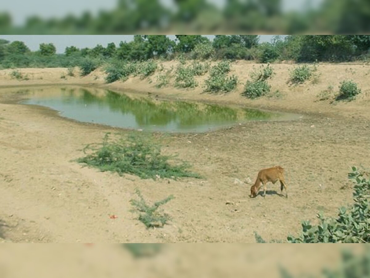 कैबिनेट मंत्री ओमकार मरकाम के गृहजिले डिंडौरी में भीषण जल संकट(फाइल फोटो)