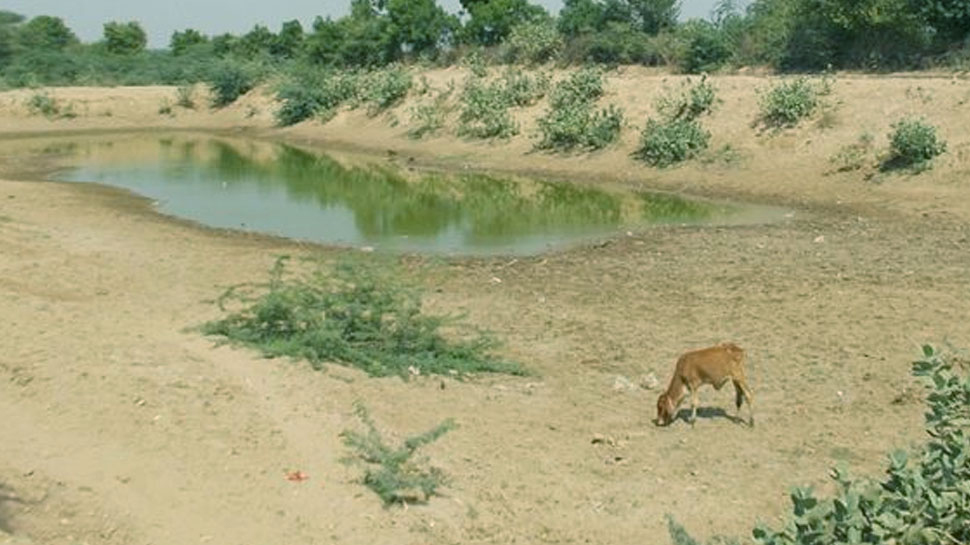 डिंडौरी में नहीं कम हो रहा जल संकट, गांवों में लोग नदी में खुदाई करके कर रहे हैं पानी का इंतजाम डिंडौरी में नहीं कम हो रहा जल संकट, गांवों में लोग नदी में खुदाई करके कर रहे हैं पानी का इंतजाम