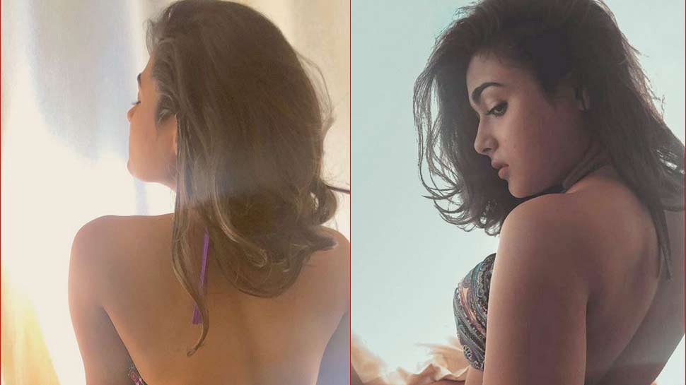 Arjun Reddy actress Shalini Pandey share bikini photoshoot gets trolled |  &#39;अर्जुन रेड्डी&#39; एक्ट्रेस बिकिनी फोटो शेयर कर हुईं TROLL, फैंस बोले- I Hate  You | Hindi News, बॉलीवुड