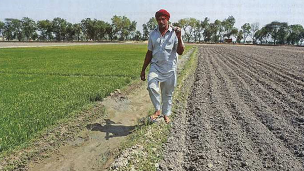 मध्यप्रदेश: किसान क्रेडिट कार्ड योजना में फर्जी दस्तावेज के आधार पर निकाली गई रकम मध्यप्रदेश: किसान क्रेडिट कार्ड योजना में फर्जी दस्तावेज के आधार पर निकाली गई रकम
