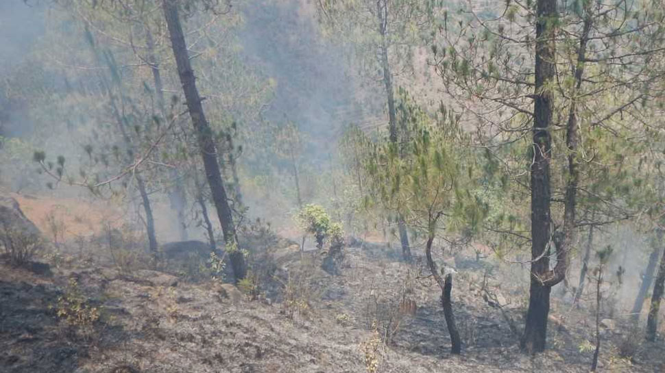  चाईबासा: सारंडा में वन माफियाओं के खिलाफ छापेमारी करना पड़ा महंगा, ग्रामीणों ने किया हमला