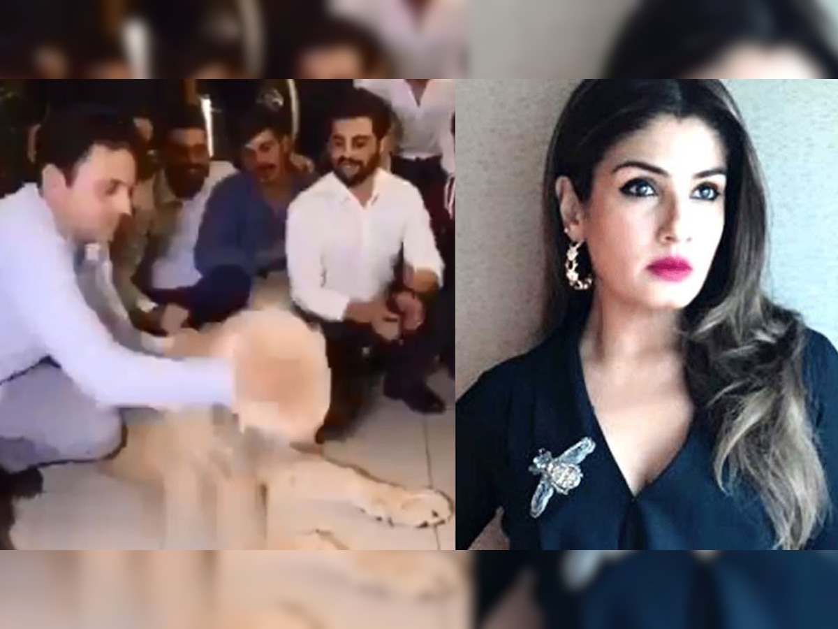 शेर के मुंह पर केक लगाने वाले VIDEO पर भड़कीं बॉलीवुड एक्ट्रेस, कहा- 'नर्क में सड़ोगे'