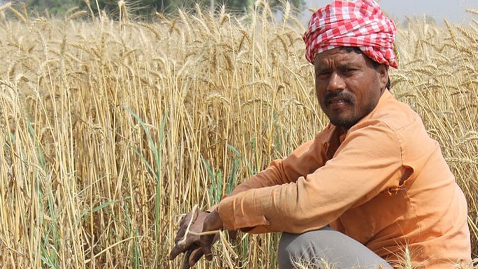राजस्थान: लाखों किसानों को मिली राहत, ऋण के लिए कर सकेंगे ऑनलाइन आवेदन