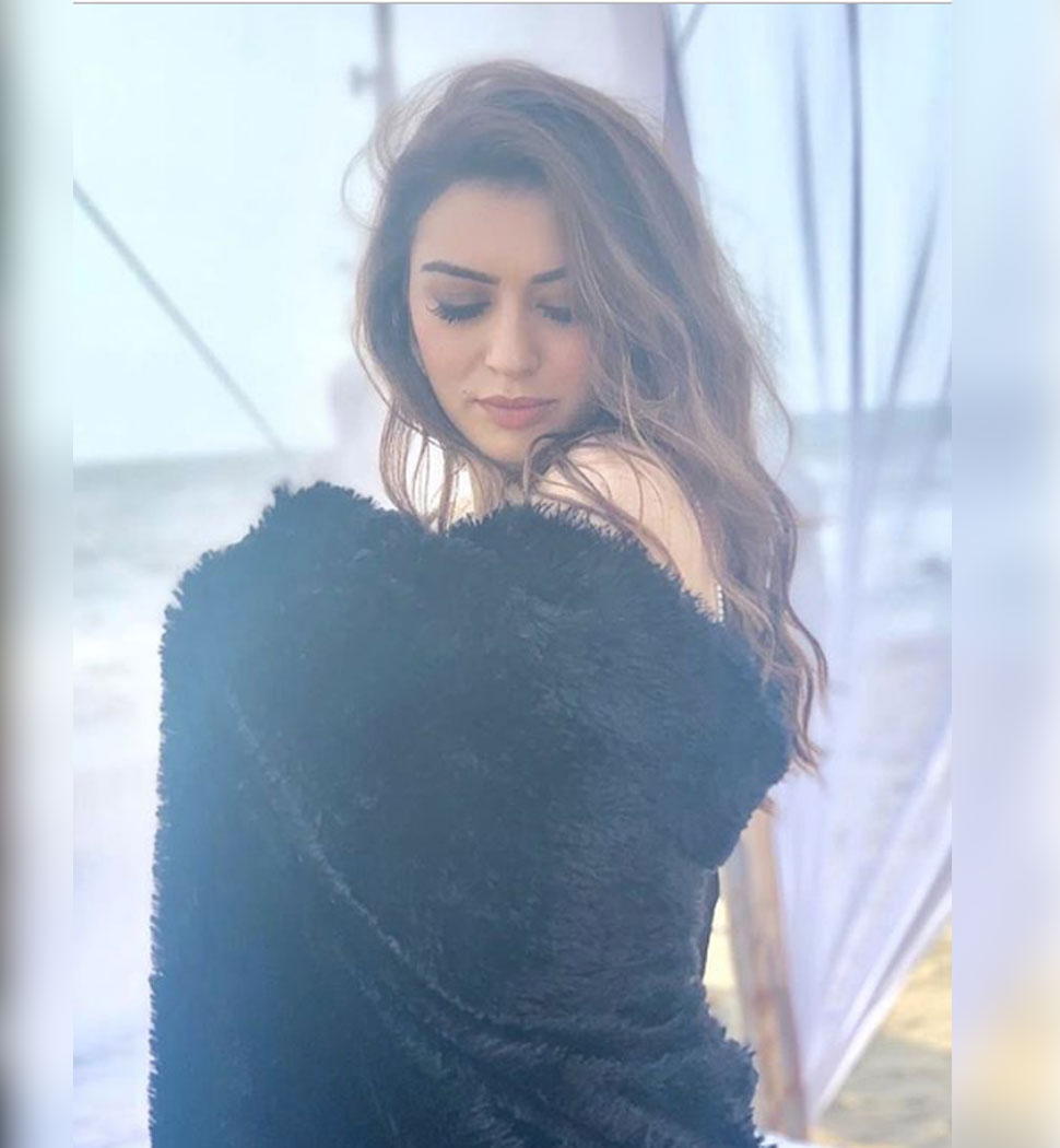 Hansika Motwani’s glamorous transformation sparks surgery rumours