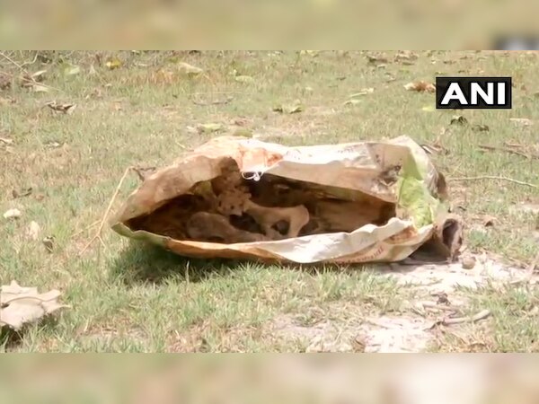 एसकेएमसीएच से मिला मानव कंकाल. (तस्वीर- ANI)