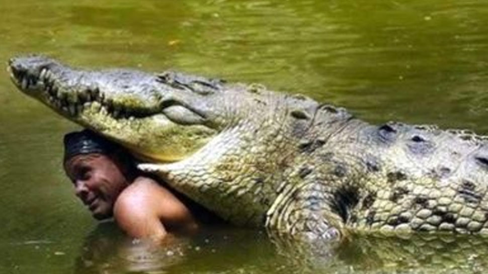बढ़ेंगे मगरमच्छ के हमले Crocodile attacks will increase