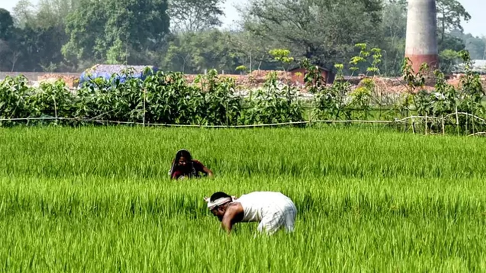 झारखंड : 5 लाख किसानों के खाते में 'सम्मान निधि' के तहत भेजे गए 2-2 हजार रुपये