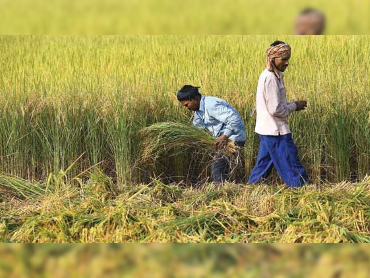 प्रतीकात्मक तस्वीर