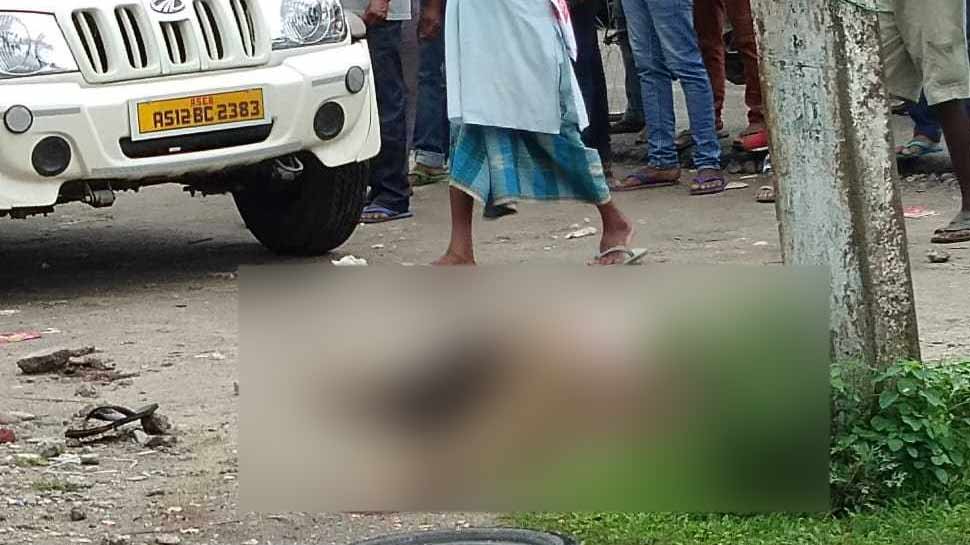 बिजली के खंभे पर काम कर रहा था सरकारी कर्मचारी, अचानक चालू हो गई लाइन और फिर... बिजली के खंभे पर काम कर रहा था सरकारी कर्मचारी, अचानक चालू हो गई लाइन और फिर...