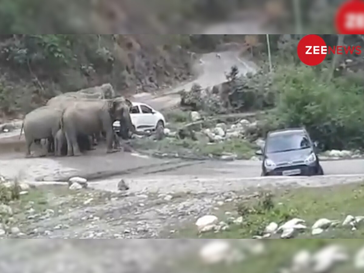 गुस्‍सैल हाथियों ने कारों पर किया हमला.