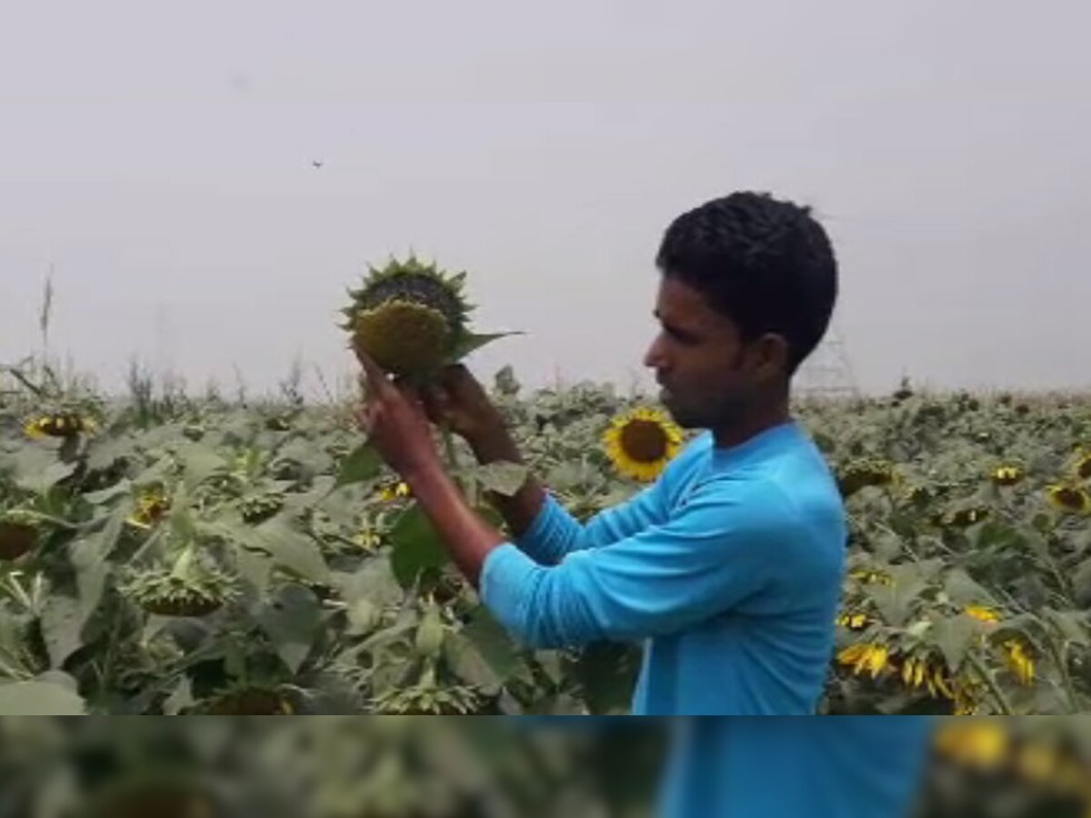 अकबर अंसारी युवाओं के लिए प्रेरणास्रोत बन रहे हैं. 