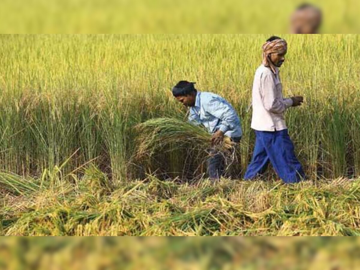 खेती का सीजन शुरु हो चुका है लेकिन अब तक वे खाद बीज नहीं खरीद पाए हैं