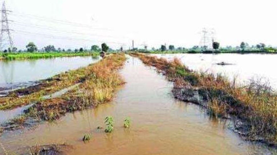 भारत पड़ोसियों को सिखाएगा बाढ़ के पानी का संरक्षण, पाकिस्तान नहीं हुआ शामिल