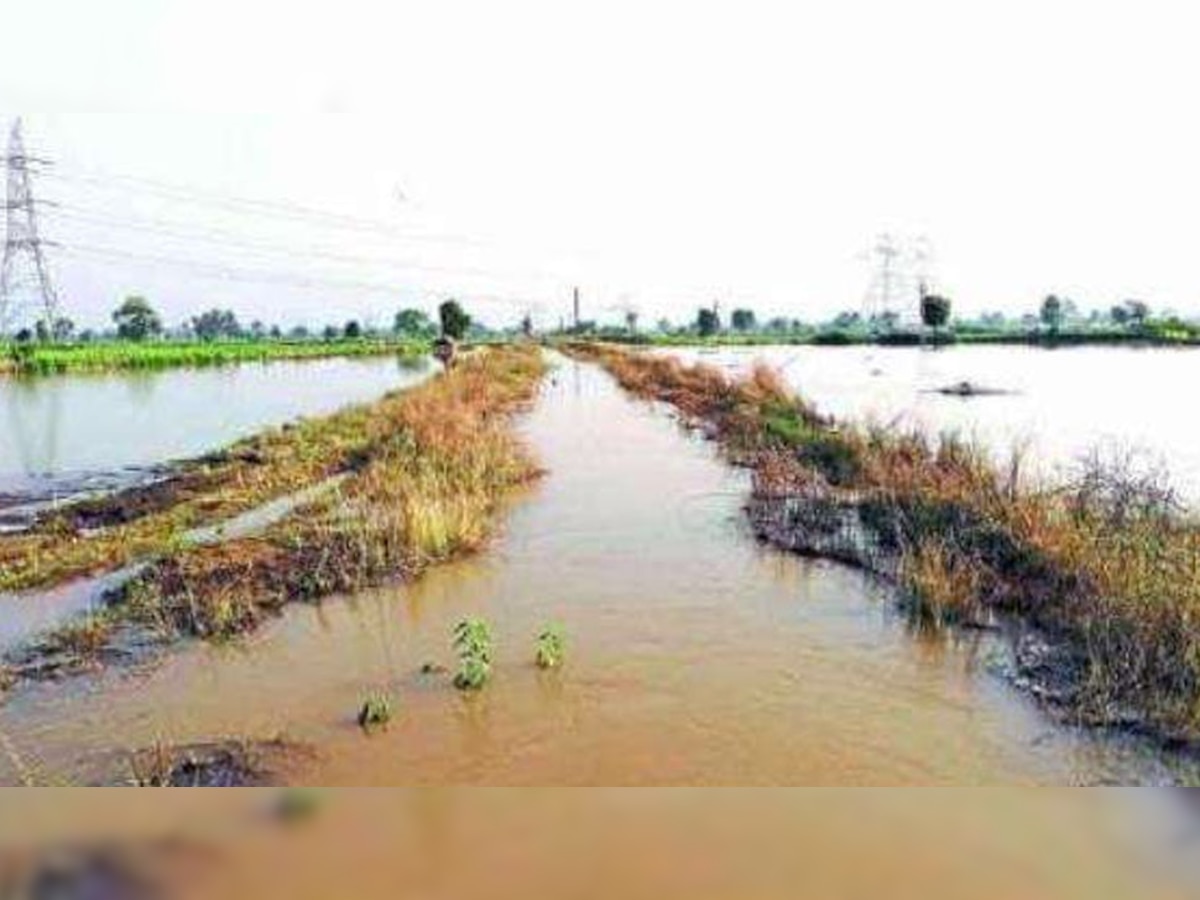 मौसम विभाग इस तकनीक को भारत और अपने चार पड़ोसी देशों में लागू करेगा. 