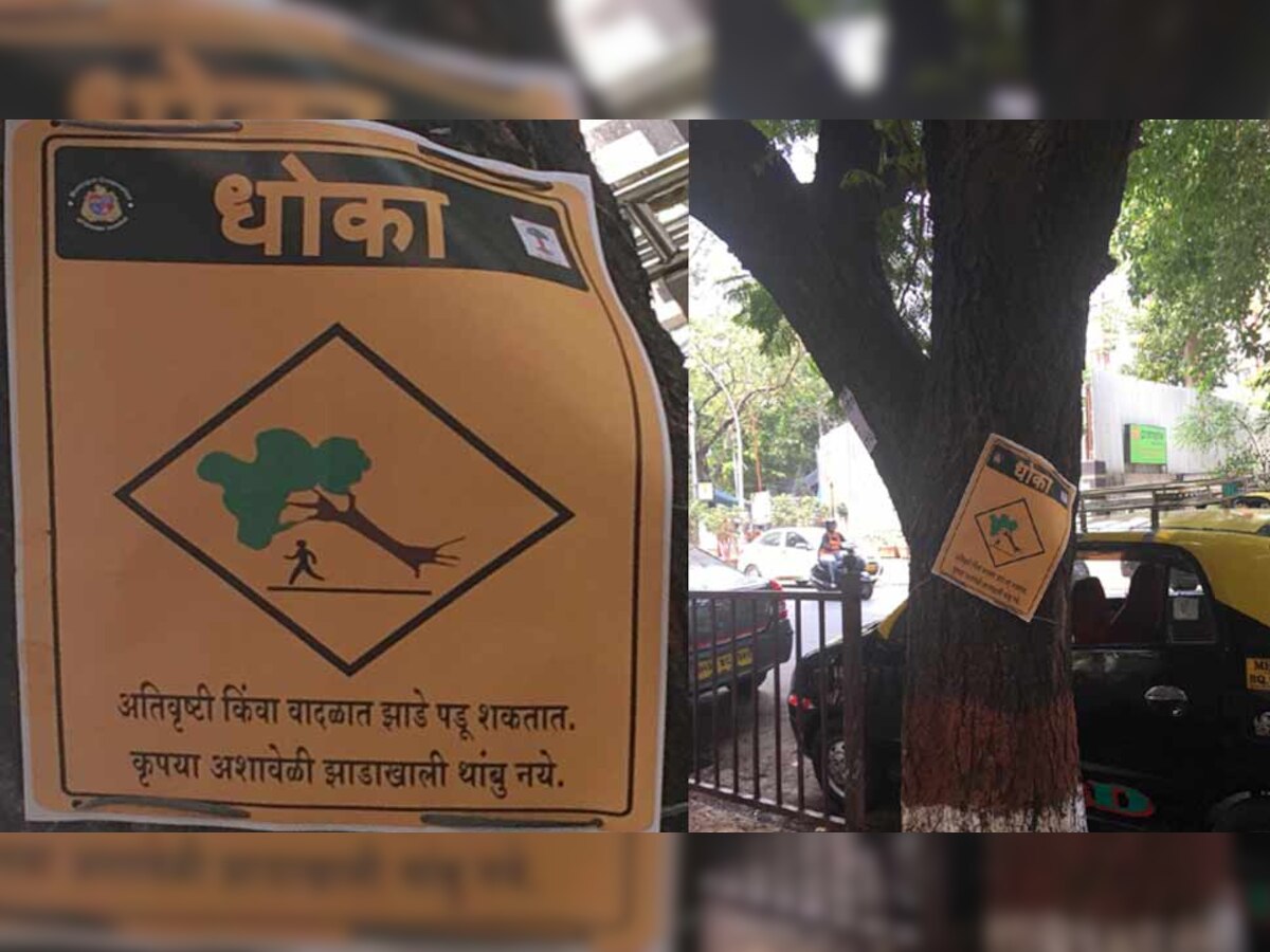 मुंबई में पहली ही बारिश में बह गई पेड़ों पर लगी चेतावनी