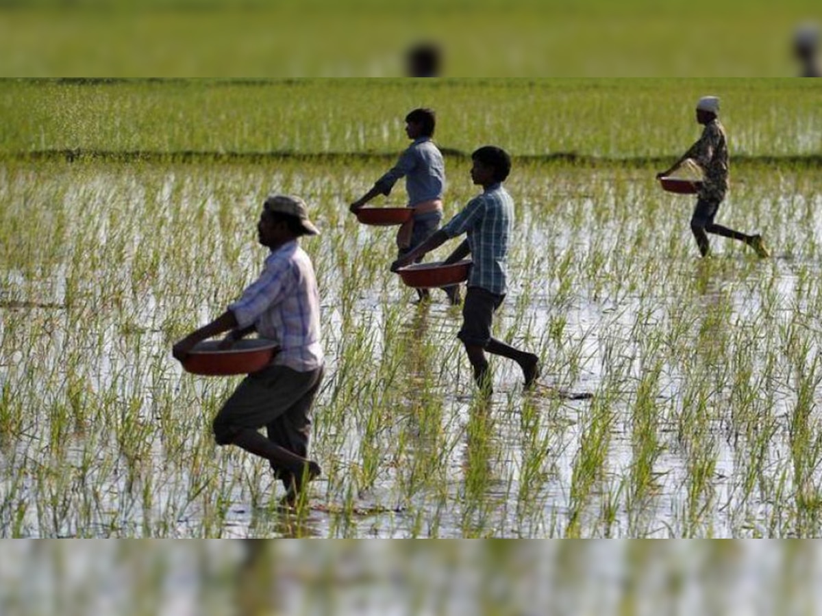 किसानों के लिए बड़ी खबर, मोदी सरकार ने 14 फसलों की MSP बढ़ाई
