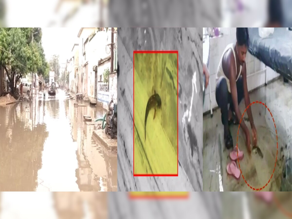 राजधानी पटना में जलजमाव की समस्या काफी बढ़ गई है.