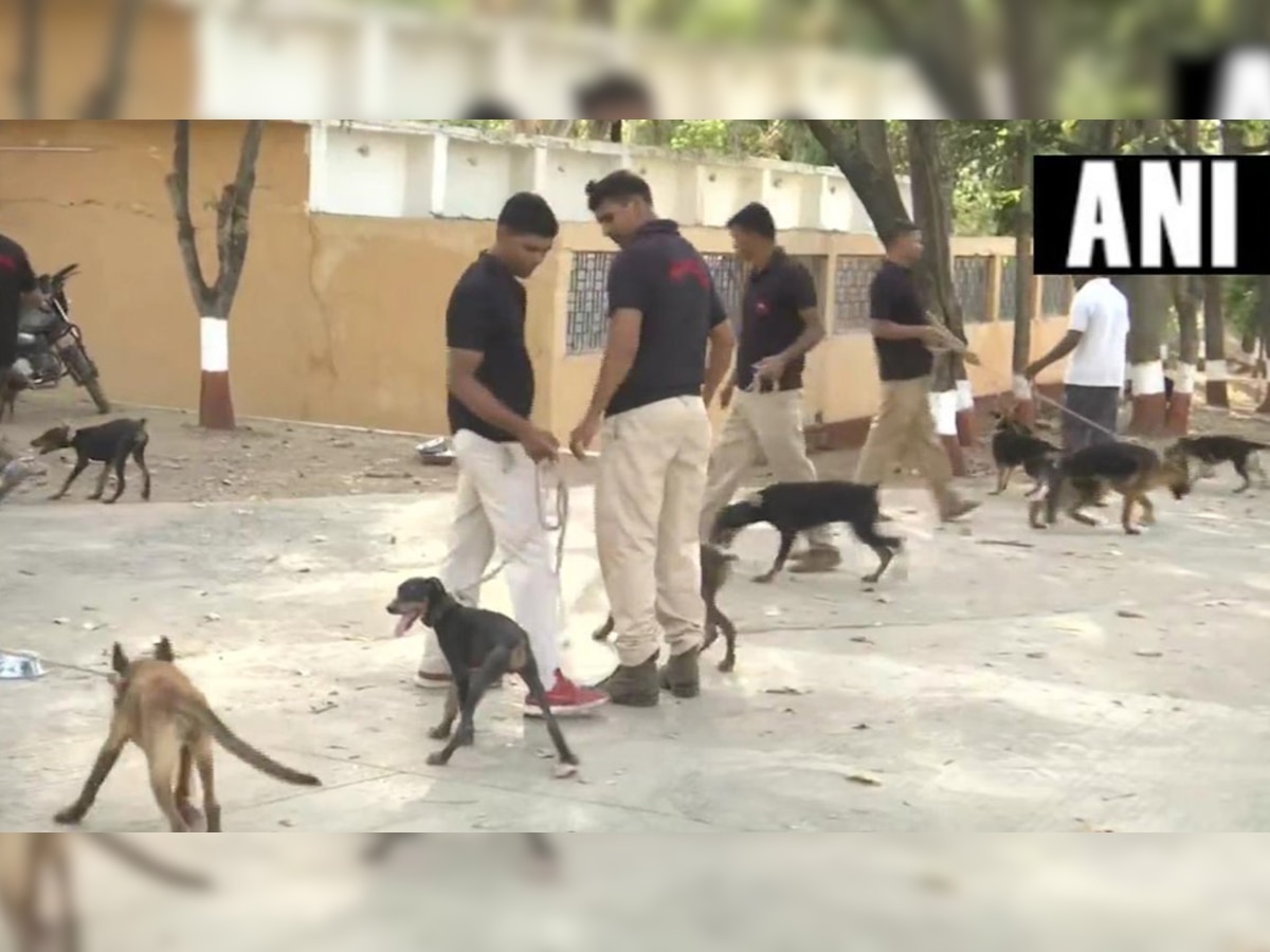 मध्य प्रदेश में कुल 46 कुत्तों का ट्रांसफर किया जा चुका है. फाइल फोटो (फोटो साभारः ANI)