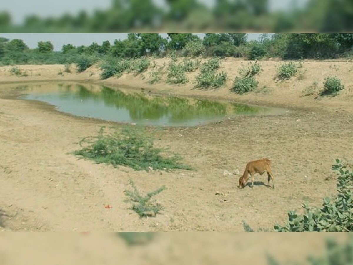1984 में राजस्थान में कुल 13 हजार 790 मिलियन क्यूबिक मीटर पानी रीचार्ज हुआ था.