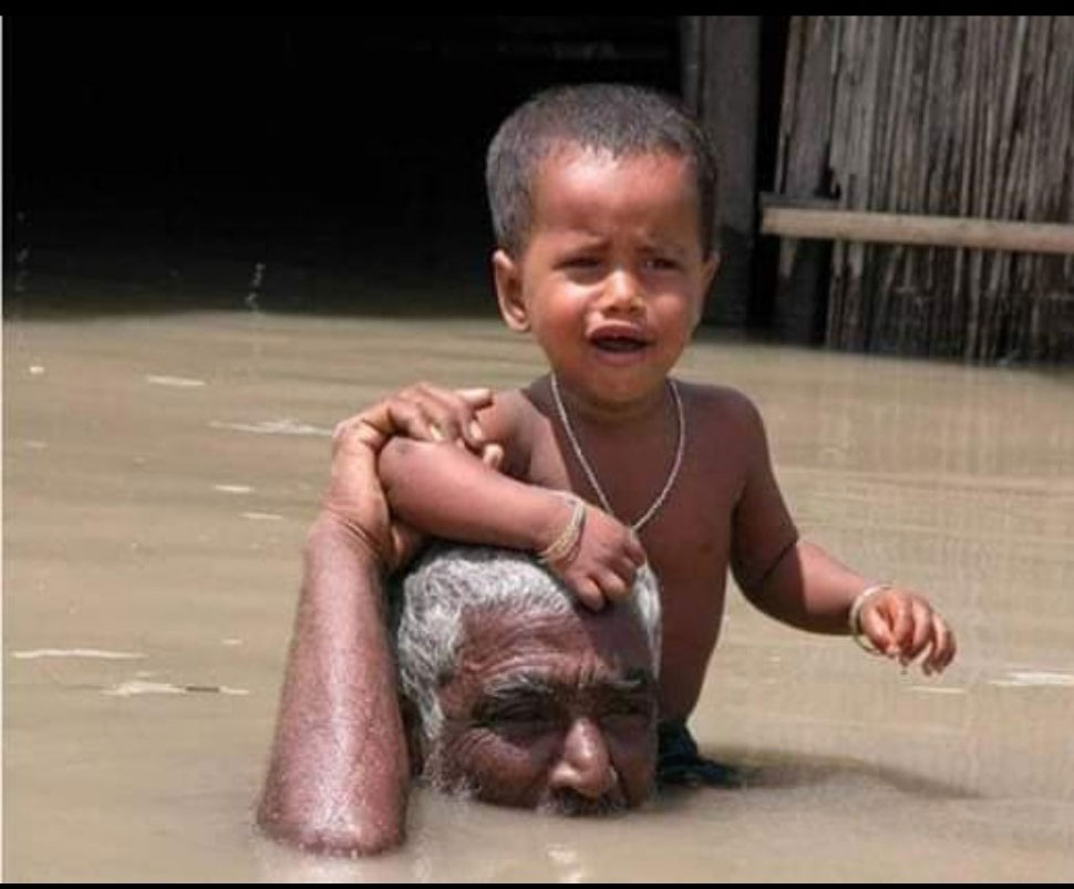 वन मंत्री ने बताए बाढ़ के हालात Forest Minister told the situation of floods
