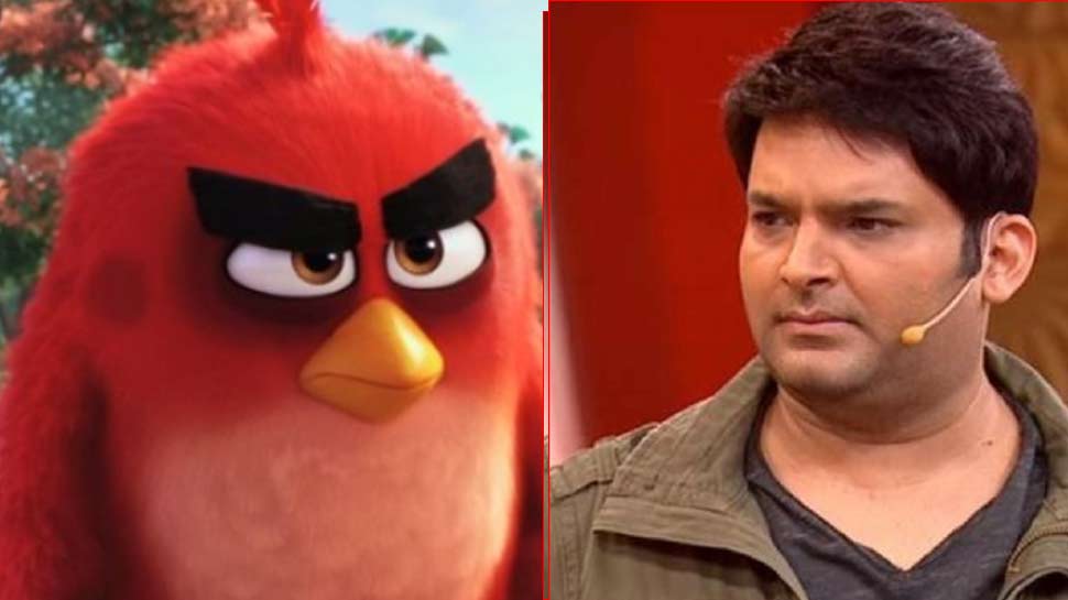 Confirm: 'एंग्री बर्ड' के Red को आवाज देंगे कपिल शर्मा, हिंदी वर्जन में हुई एंट्री