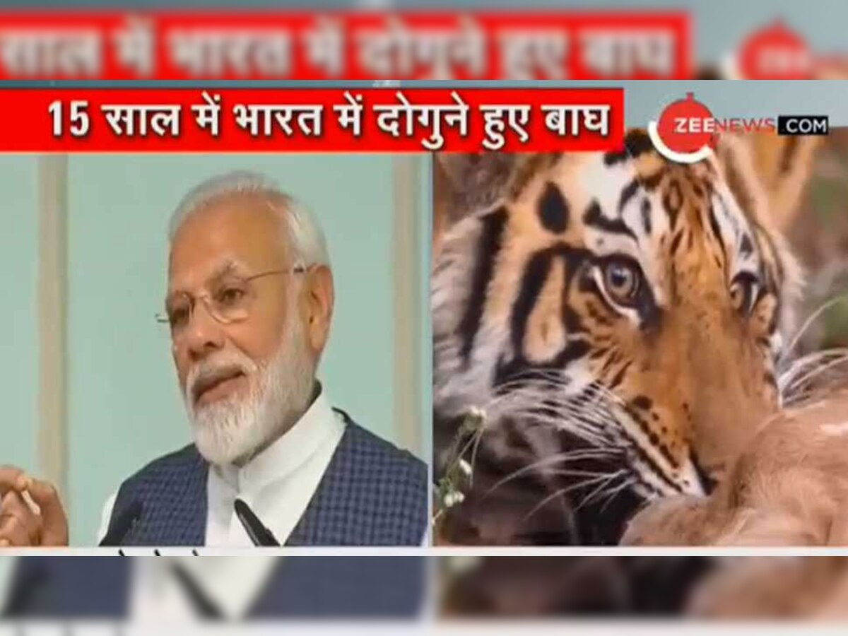 VIDEO: मशहूर शो मैन वर्सेज वाइल्‍ड में PM मोदी का नया अवतार, जंगल के खतरों का करेंगे सामना!