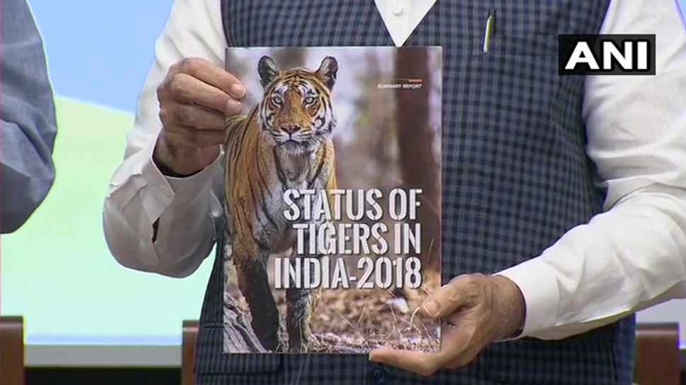 #TigerStateOfIndia: उत्तर प्रदेश और उत्तराखंड में बढ़ी बाघों की संख्या
