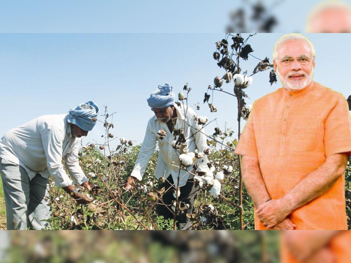 PM मोदी ने 13 साल CM रहते हुए जिन किसानों को बनाया मालामाल, अब क्यों हो रहे बेहाल?
