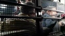 VIDEO: रेप के आरोपी कुलदीप सेंगर को दिल्‍ली भेजा, कहा-कामना है पीड़िता जल्‍द ठीक हो