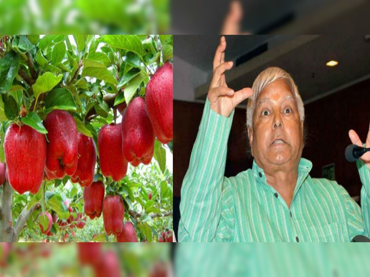 कश्मीर में हालात बदलने के बाद कश्मीर के व्यापारियों से संपर्क टूट गया है. 