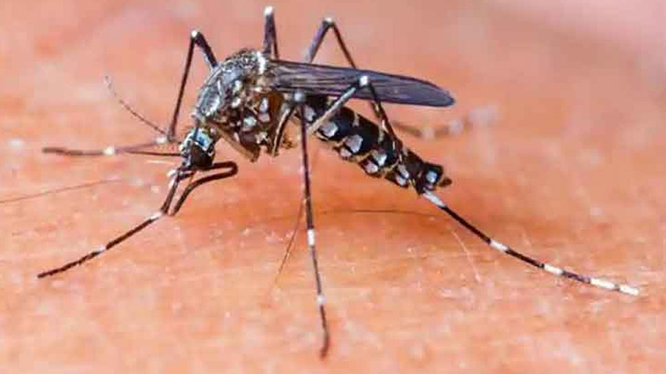 मध्य अमेरिका में तेजी से फैल रहा है डेंगू, अब तक 124 लोगों की मौत