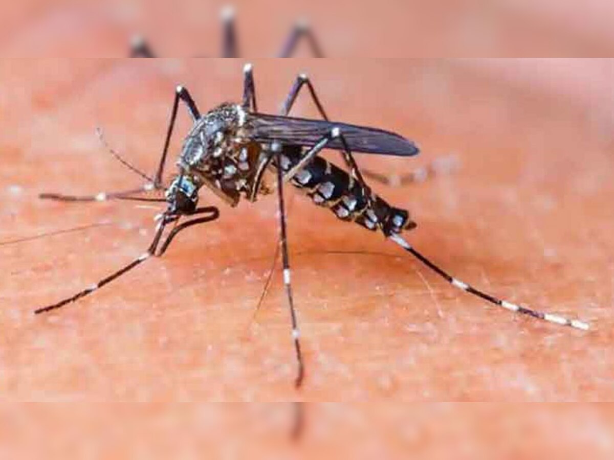 मच्छर जनित बीमारी, डेंगू से लगभग 127,000 मामलों में कम से कम 124 लोगों की मौत हुई. 