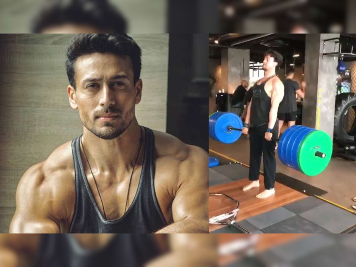 टाइगर वॉर में नजर आने वाले हैं, फोटो साभार: Instagram@TigerShorff