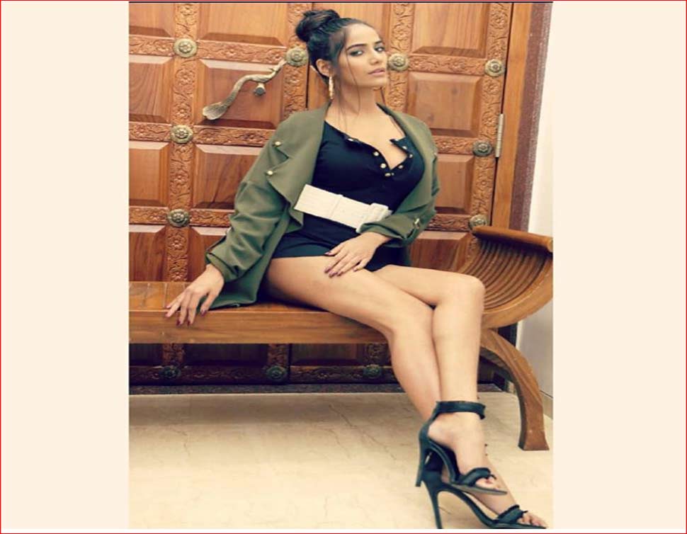 पूनम पांडे ने 2011 के वर्ल्ड कप में सनसनी मचा दी थी Poonam Pandey shares photo with boyfriend