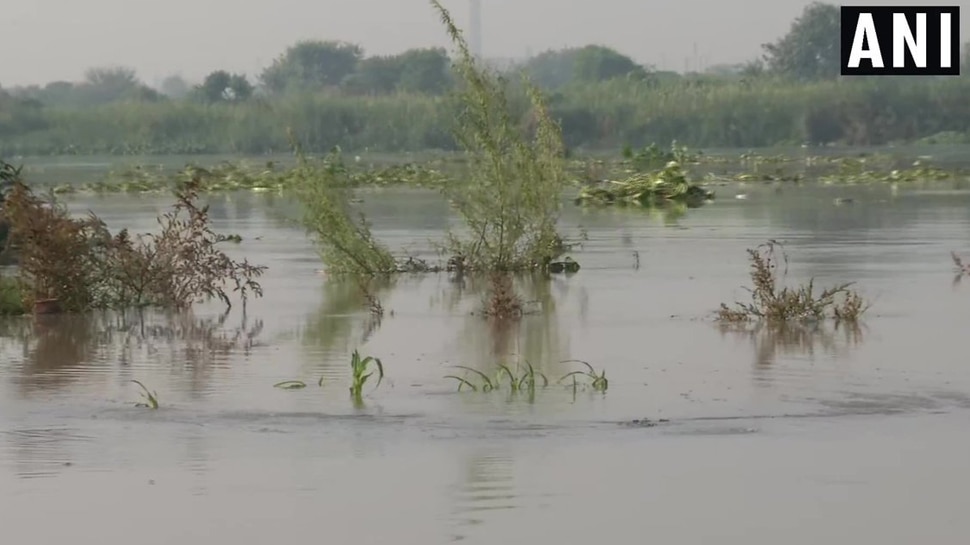 हथिनीकुंड बैराज से यमुना नदी में छोड़ा गया 8,28,072 क्यूसेक पानी Water level of Yamuna River recorded at 204.70 meters