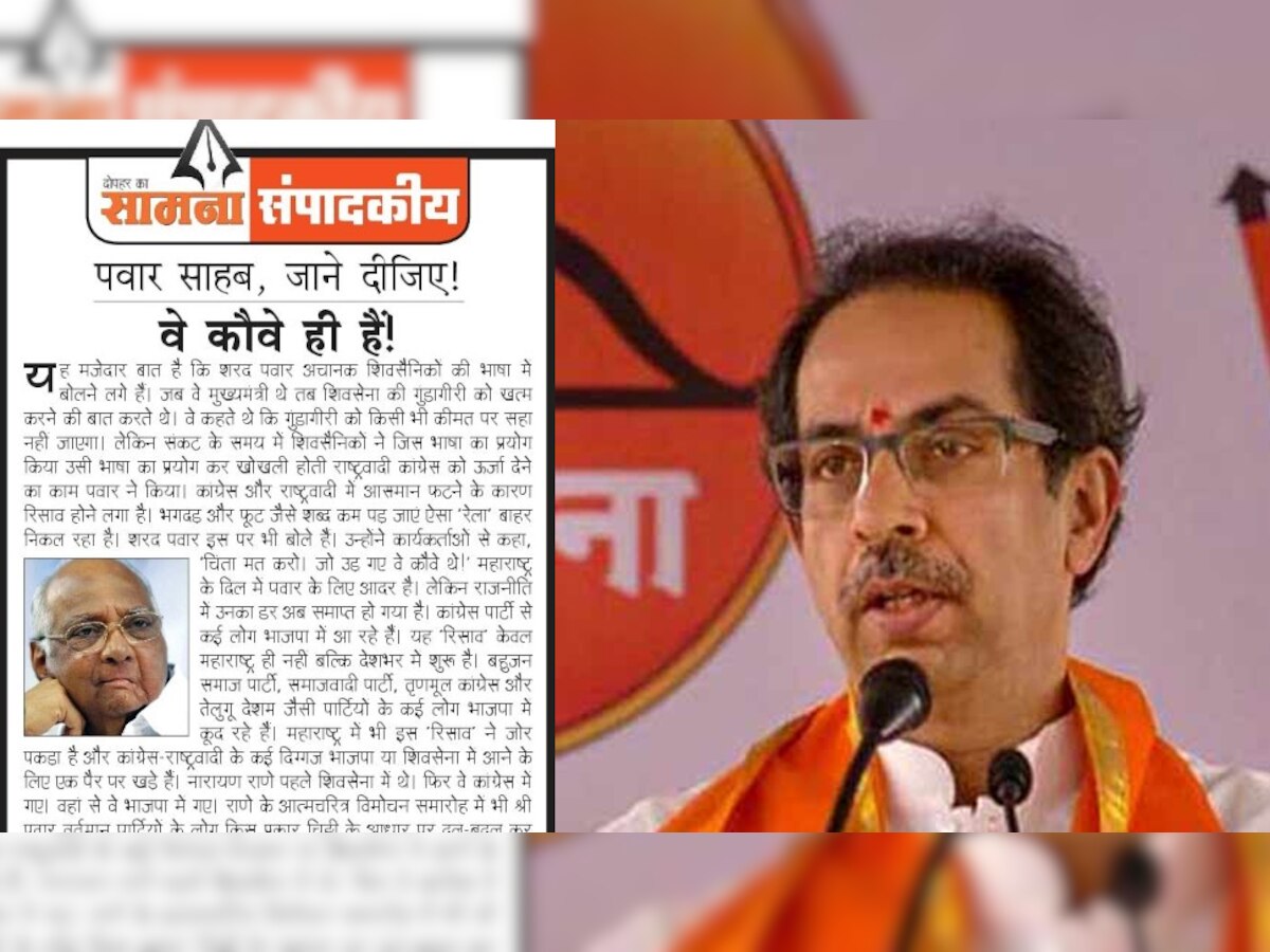 ‘चिंता मत करो, जो उड़ गए वे कौवे थे! शरद पवार भी शिवसेना की भाषा बोलने लगे हैं: सामना