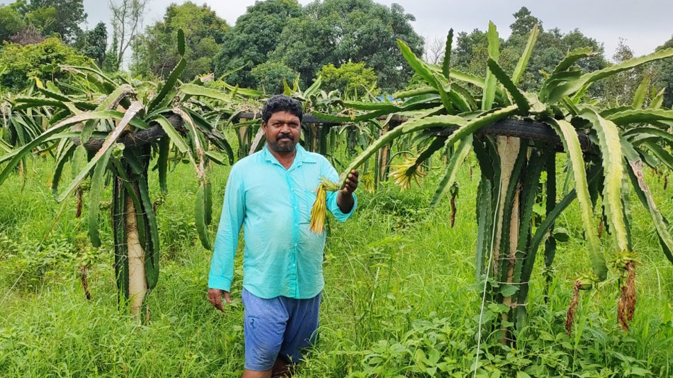 ऐसे मिला बीज how seed got