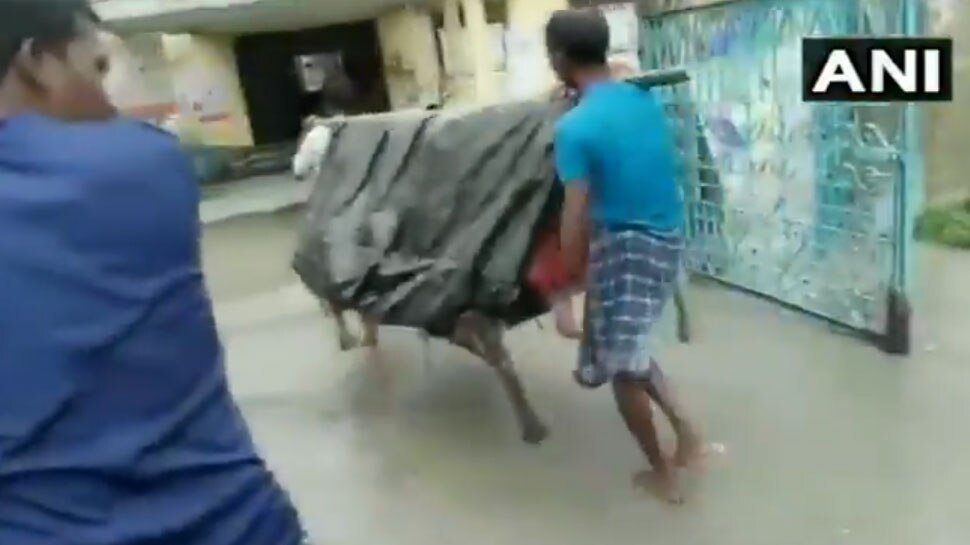 VIDEO: चारपाई के 'स्ट्रेचर' पर गर्भवती को 5 Km लादकर अस्पताल ले गए लोग, रास्ते में बच्चे को दिया जन्म