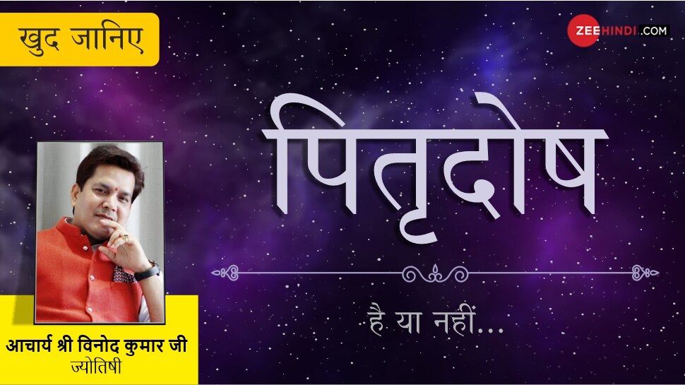 पितृदोष के प्रकार Types of Pitra Dosh